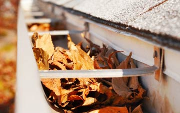 Oystermouth gutter cleaning companies